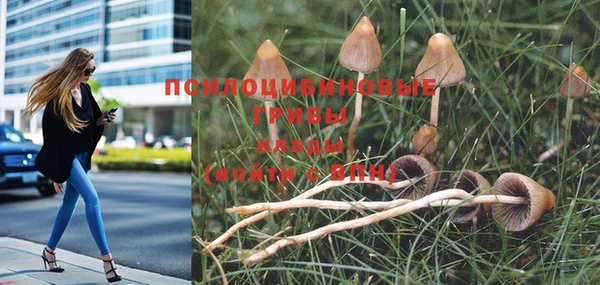 бутик Алзамай